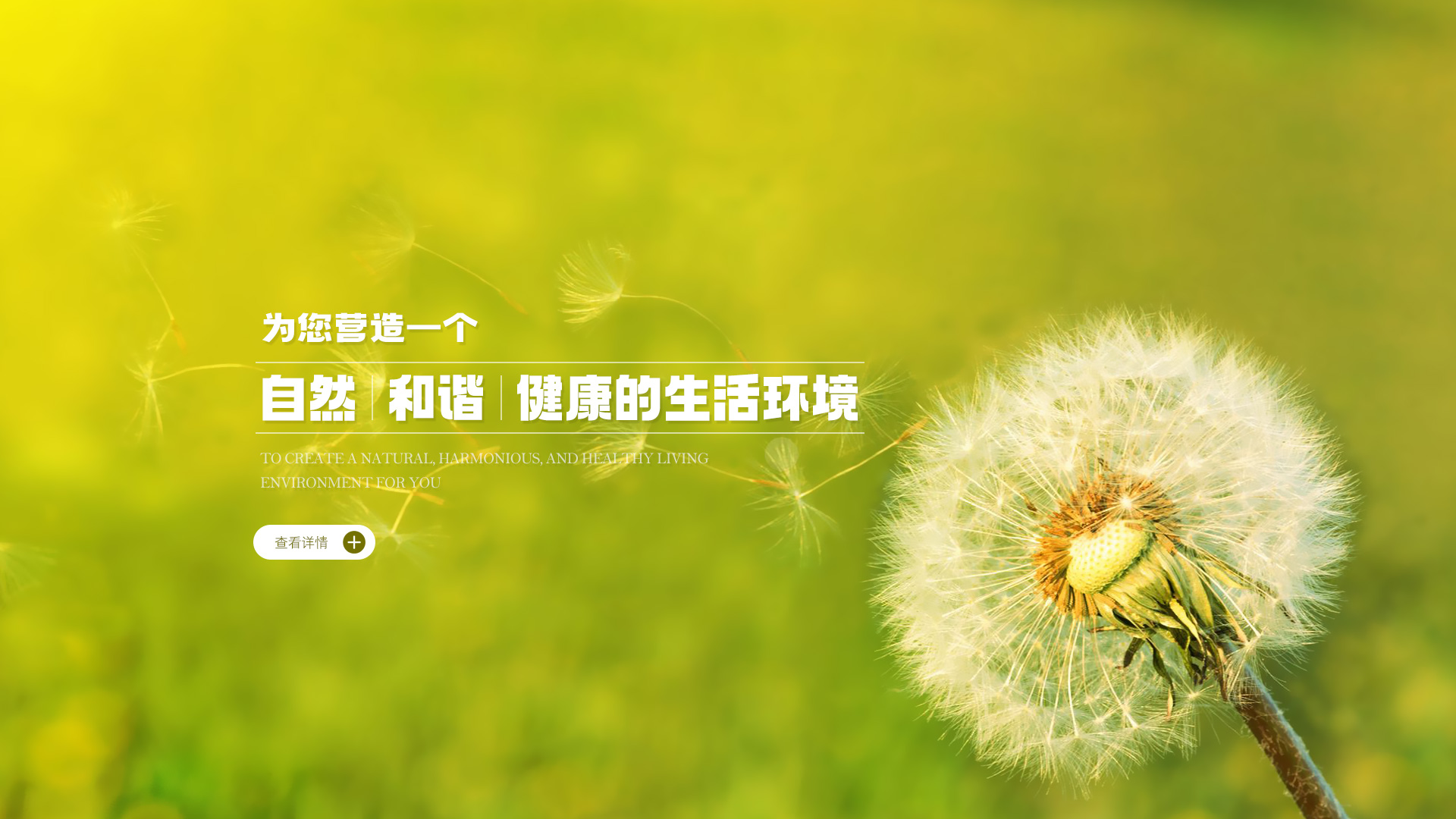 大图三
